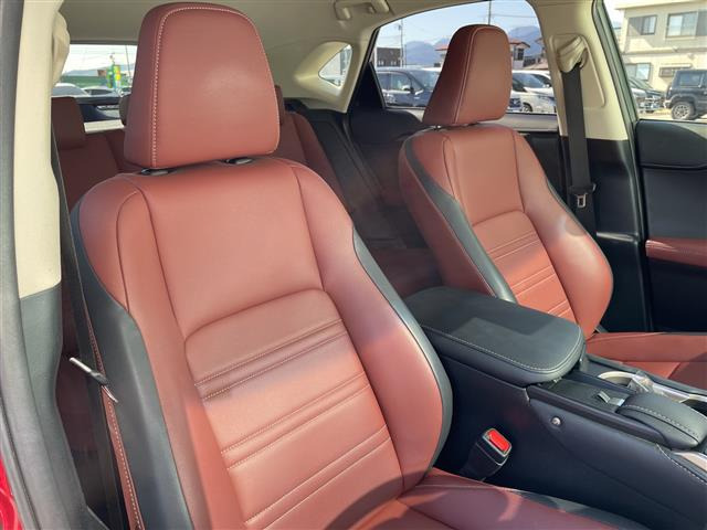 NX300h アーバンスタイル