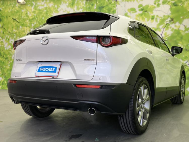 CX-302.0 20S プロアクティブ