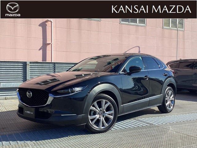 CX-301.8 XD Lパッケージ