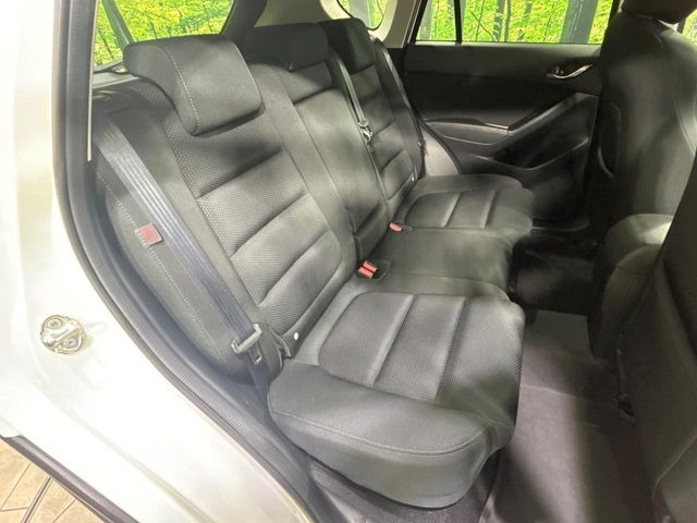 �㕔���Ȃ��C�ɂȂ�悤�ȃL�Y�E�����ւ��蓙�A�傫�ȃ_���[�W�͂Ȃ��A�ǍD�ȏ�Ԃł��B