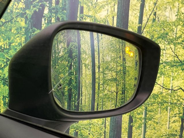 �y�u���C���h�X�|�b�g���j�^�����O�z���s���A�h�A�~���[�̎��p�ɂȂ�₷���ӏ��Ɍ㑱�Ԃ��ڋ߂���ƃT�C�h�~���[�t�߂Ɍx����\���A�h���C�o�[�ɒ��ӊ��N�����Ă���܂��B