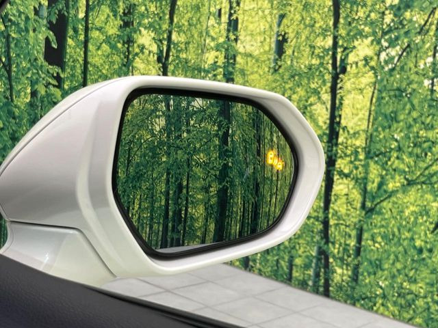 �y�u���C���h�X�|�b�g���j�^�[�z���s���A�h�A�~���[�̎��p�ɂȂ�₷���ӏ��Ɍ㑱�Ԃ��ڋ߂���ƃT�C�h�~���[�̃����Y�Ɍx����\��!�h���C�o�[�ɒ��ӊ��N�����Ă���܂��B