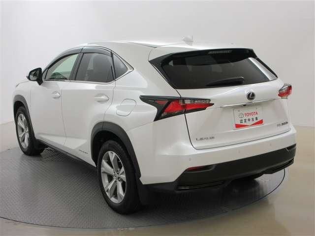 NX300h バージョンL