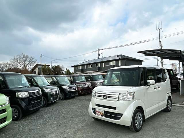 �y39.8���X�J�[�Y�̎��q���������������A���ɂ��肪�Ƃ��������܂��B���������S�s���c1186-7TEL:0942-73-6060�܂ł��⍇����������