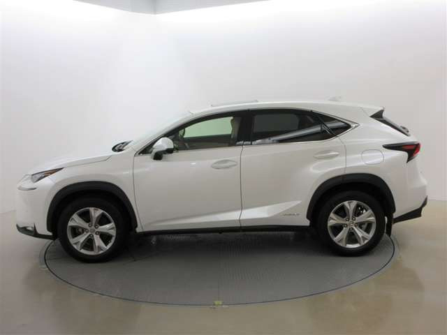 NX300h バージョンL