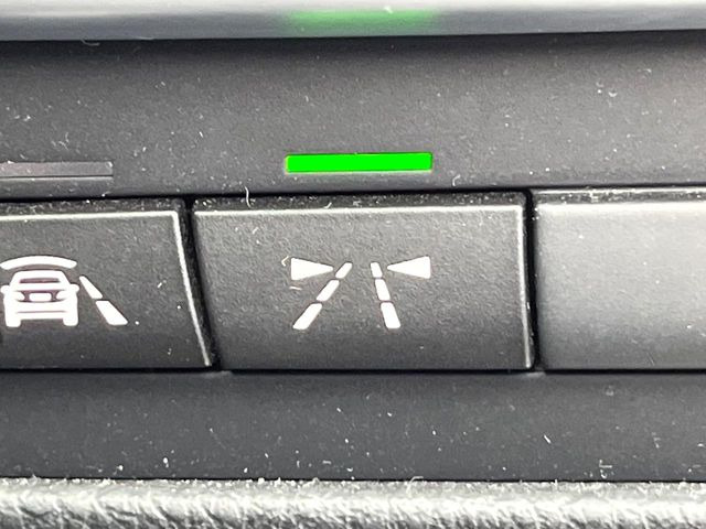 �����[���L�[�s���O�A�V�X�g:���s�Ԑ��̈�E�������Ă����@�\�B���s���ɁA�N���}���Ԑ�����O��Ă��邱�Ƃ��J���������m����ƁA�X�e�A�����O����U�������ăh���C�o�[�Ɍx�����܂��B