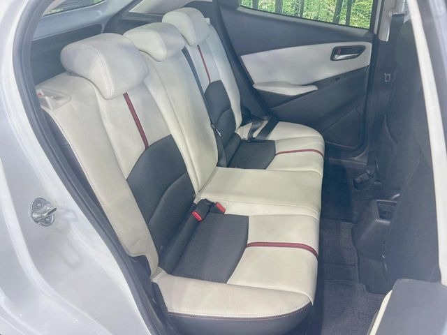 �㕔���Ȃ��C�ɂȂ�悤�ȃL�Y�E�����ւ��蓙�A�傫�ȃ_���[�W�͂Ȃ��A�ǍD�ȏ�Ԃł��B