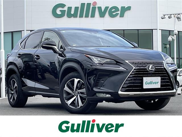 NX300 Iパッケージ