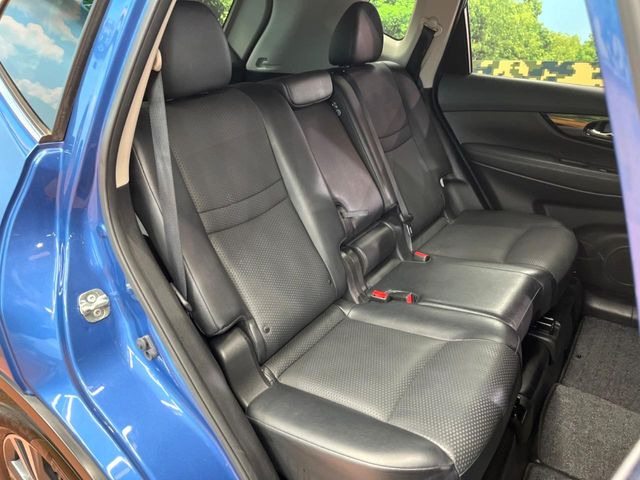 �㕔���Ȃ��C�ɂȂ�悤�ȃL�Y�E�����ւ��蓙�A�傫�ȃ_���[�W�͂Ȃ��A�ǍD�ȏ�Ԃł��B