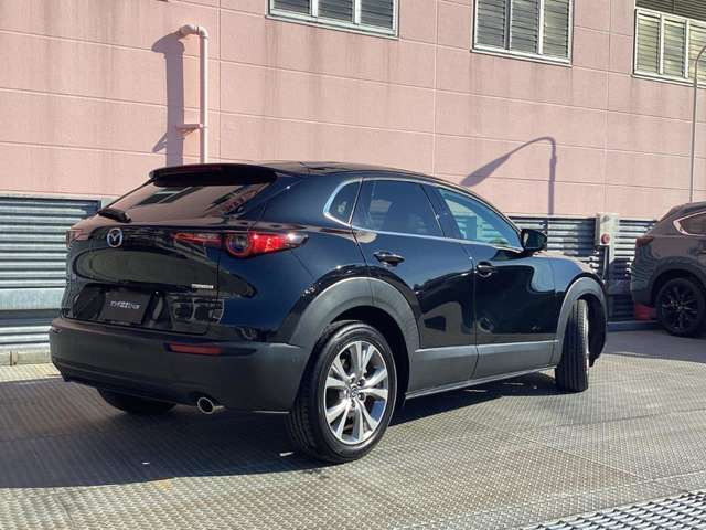 CX-301.8 XD Lパッケージ