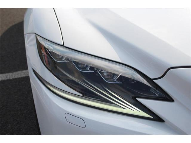 ���Ǝҗl�ւ̔̔��͂��f�肳���Ă��������܂��B �Ԍ������ԗ��̏ꍇ�́A�Ԍ����擾�������x�������z�ŕ\�����Ă���܂��B