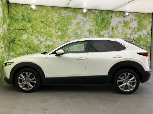 CX-302.0 20S プロアクティブ