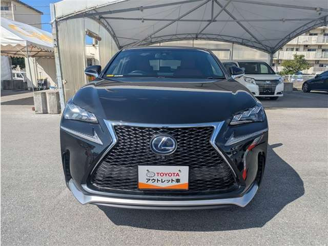 NX300h Fスポーツ