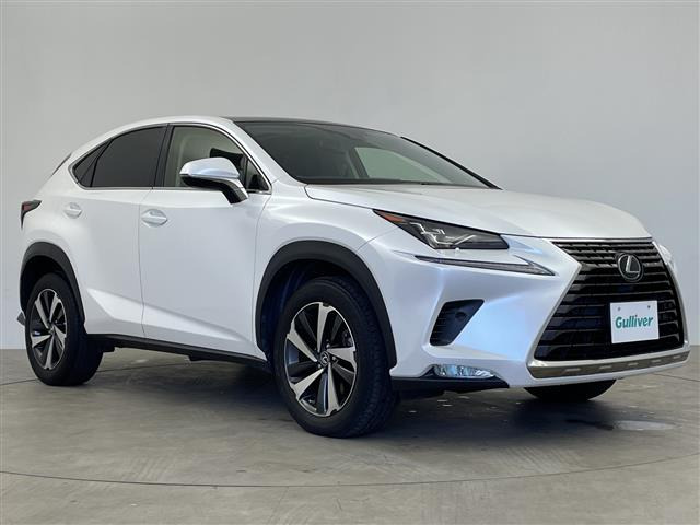 NX300 Iパッケージ