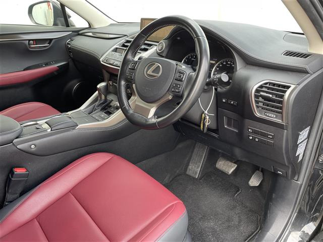 NX300 Iパッケージ