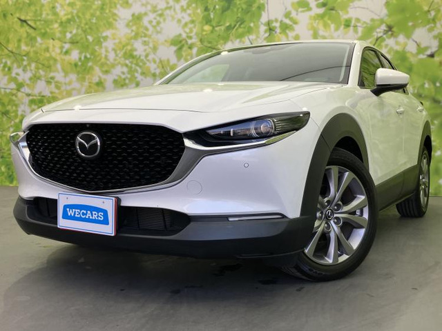 CX-302.0 20S プロアクティブ