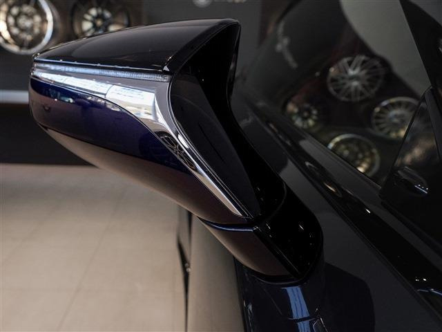 �I�v�V����:TRD�t���G�A��