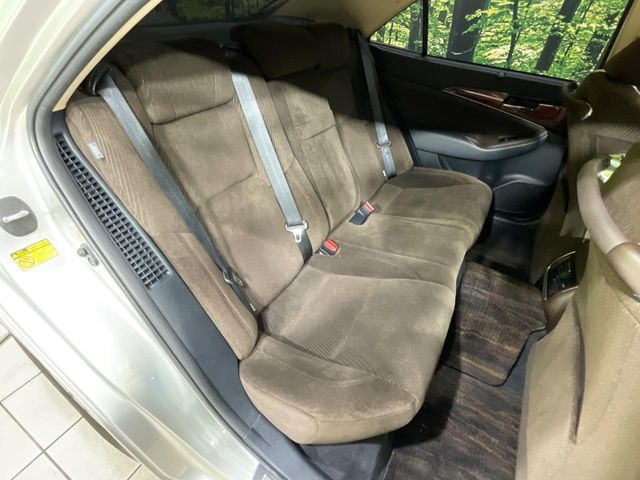 �㕔���Ȃ��C�ɂȂ�悤�ȃL�Y�E�����ւ��蓙�A�傫�ȃ_���[�W�͂Ȃ��A�ǍD�ȏ�Ԃł��B