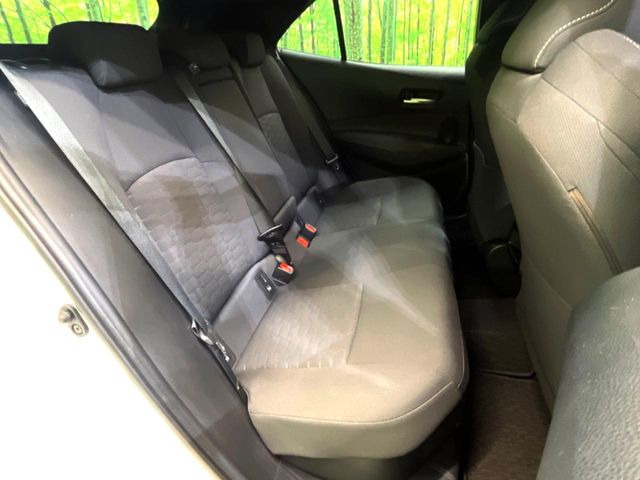 �㕔���Ȃ��C�ɂȂ�悤�ȃL�Y�E�����ւ��蓙�A�傫�ȃ_���[�W�͂Ȃ��A�ǍD�ȏ�Ԃł��B