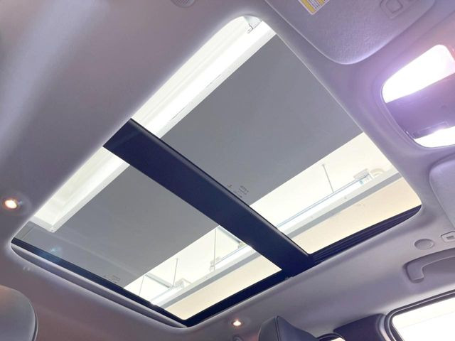 ���p�m���}�~�b�N�K���X���[�t:�唗�͂̃p�m���}���[�t�́A�㕔���Ȃɂ܂ő����Ă���A�J���I�ȋ�Ԃ����y���݂��������܂��B