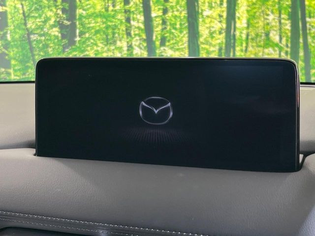 CX-52.2 XD スポーツアピアランス