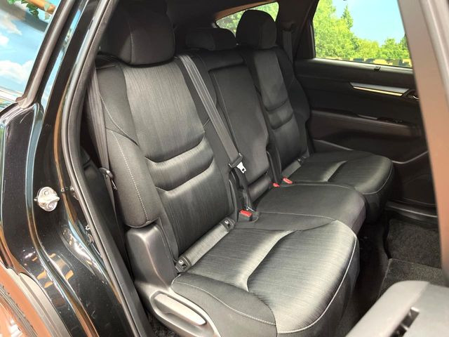 �㕔���Ȃ��C�ɂȂ�悤�ȃL�Y�E�����ւ��蓙�A�傫�ȃ_���[�W�͂Ȃ��A�ǍD�ȏ�Ԃł��B