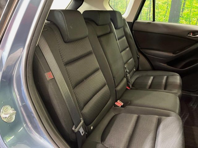 �㕔���Ȃ��C�ɂȂ�悤�ȃL�Y�E�����ւ��蓙�A�傫�ȃ_���[�W�͂Ȃ��A�ǍD�ȏ�Ԃł��B