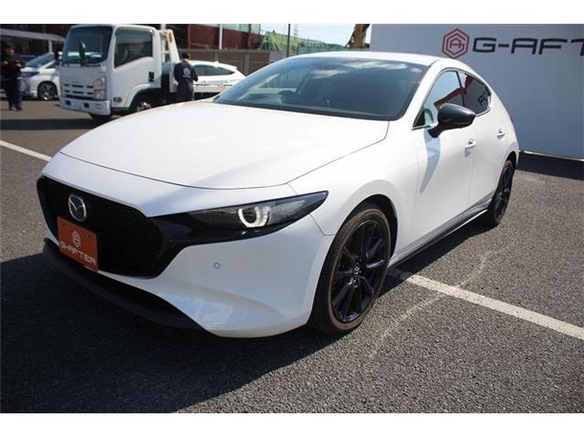 ���Ǝҗl�ւ̔̔��͂��f�肳���Ă��������܂��B �Ԍ������ԗ��̏ꍇ�́A�Ԍ����擾�������x�������z�ŕ\�����Ă���܂��B