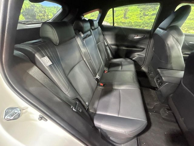 �㕔���Ȃ��C�ɂȂ�悤�ȃL�Y�E�����ւ��蓙�A�傫�ȃ_���[�W�͂Ȃ��A�ǍD�ȏ�Ԃł��B