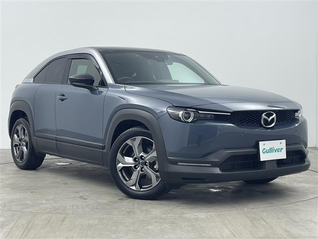 MX-302.0 インダストリアル クラシック