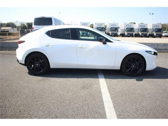 ���Ǝҗl�ւ̔̔��͂��f�肳���Ă��������܂��B �Ԍ������ԗ��̏ꍇ�́A�Ԍ����擾�������x�������z�ŕ\�����Ă���܂��B