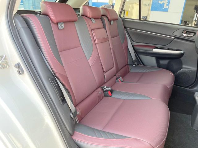 �㕔���Ȃ��C�ɂȂ�悤�ȃL�Y�E�����ւ��蓙�A�傫�ȃ_���[�W�͂Ȃ��A�ǍD�ȏ�Ԃł��B