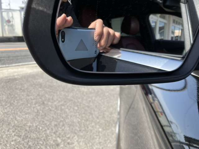 �u���C���h�X�|�b�g���j�^�[!