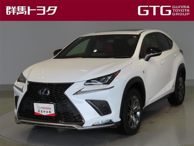 NX300h Fスポーツ