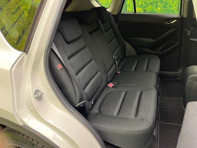 �㕔���Ȃ��C�ɂȂ�悤�ȃL�Y�E�����ւ��蓙�A�傫�ȃ_���[�W�͂Ȃ��A�ǍD�ȏ�Ԃł��B