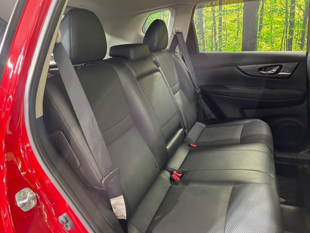 �㕔���Ȃ��C�ɂȂ�悤�ȃL�Y�E�����ւ��蓙�A�傫�ȃ_���[�W�͂Ȃ��A�ǍD�ȏ�Ԃł��B