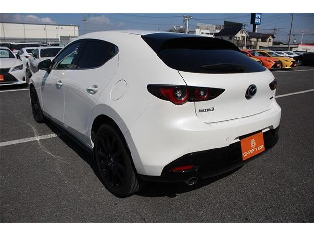 ���Ǝҗl�ւ̔̔��͂��f�肳���Ă��������܂��B �Ԍ������ԗ��̏ꍇ�́A�Ԍ����擾�������x�������z�ŕ\�����Ă���܂��B