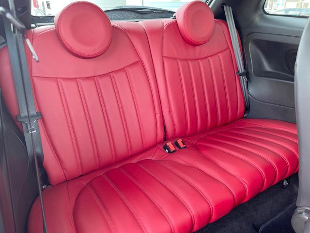 ���㕔���Ȃ��C�ɂȂ�悤�ȃL�Y�E�����ւ��蓙�A�傫�ȃ_���[�W�͂Ȃ��A�ǍD�ȏ�Ԃł��B