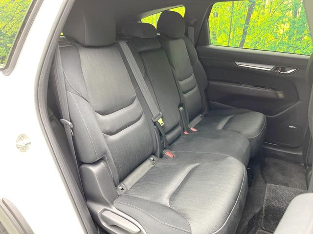 �㕔���Ȃ��C�ɂȂ�悤�ȃL�Y�E�����ւ��蓙�A�傫�ȃ_���[�W�͂Ȃ��A�ǍD�ȏ�Ԃł��B