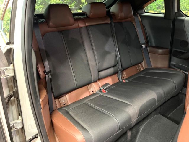 �㕔���Ȃ��C�ɂȂ�悤�ȃL�Y�E�����ւ��蓙�A�傫�ȃ_���[�W�͂Ȃ��A�ǍD�ȏ�Ԃł��B