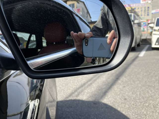 �u���C���h�X�|�b�g���j�^�[!