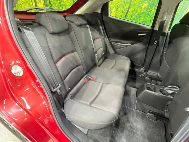 �㕔���Ȃ��C�ɂȂ�悤�ȃL�Y�E�����ւ��蓙�A�傫�ȃ_���[�W�͂Ȃ��A�ǍD�ȏ�Ԃł��B