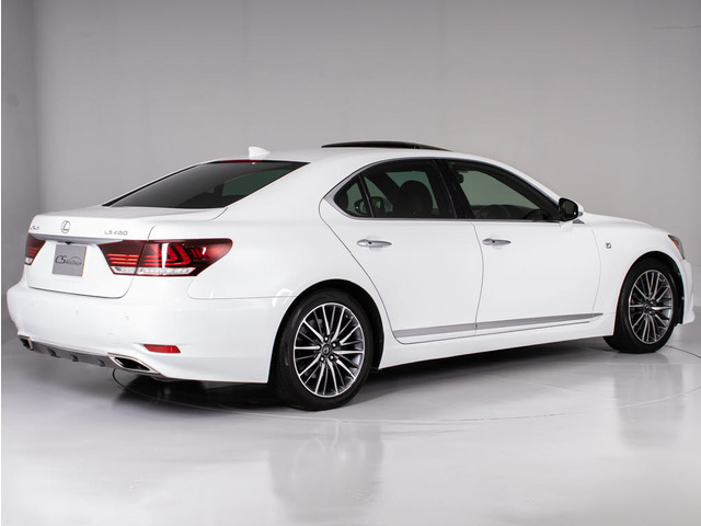 �z�C�[����F�X�|-�c��p19�C���`!