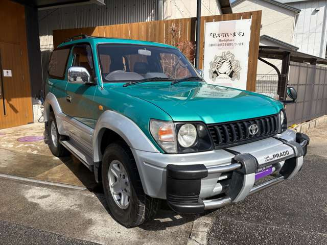 �h��߂����A����ł��Ă������葶�݊��̂���O���[�����^���b�N�I�p�[��