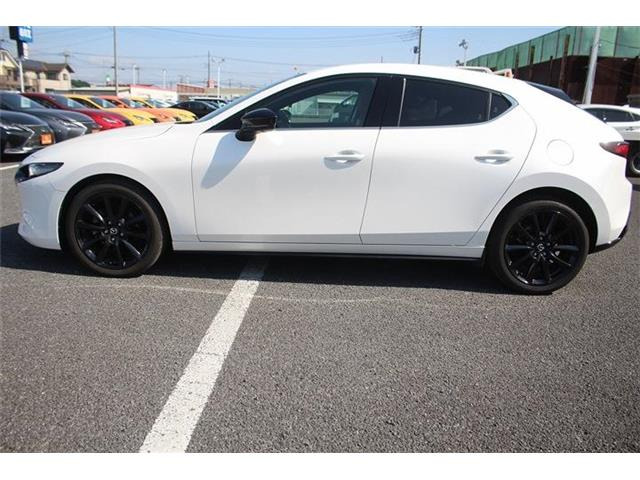 ���Ǝҗl�ւ̔̔��͂��f�肳���Ă��������܂��B �Ԍ������ԗ��̏ꍇ�́A�Ԍ����擾�������x�������z�ŕ\�����Ă���܂��B