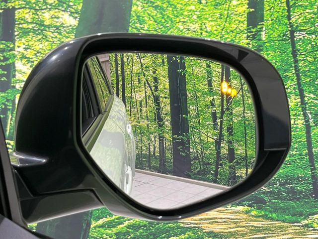 �y�u���C���h�X�|�b�g���[�j���O�z���s���A�h�A�~���[�̎��p�ɂȂ�₷���ӏ��Ɍ㑱�Ԃ��ڋ߂���ƃT�C�h�~���[�t�߂Ɍx����\���A�h���C�o�[�ɒ��ӊ��N�����Ă���܂��B