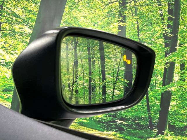 �y�u���C���h�X�|�b�g���j�^�����O�z���s���A�h�A�~���[�̎��p�ɂȂ�₷���ӏ��Ɍ㑱�Ԃ��ڋ߂���ƃT�C�h�~���[�t�߂Ɍx����\���A�h���C�o�[�ɒ��ӊ��N�����Ă���܂��B