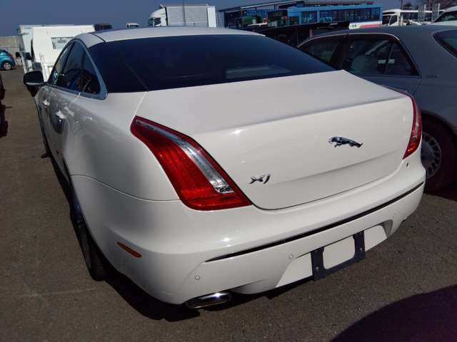 XJXJ プレミアム ラグジュアリー