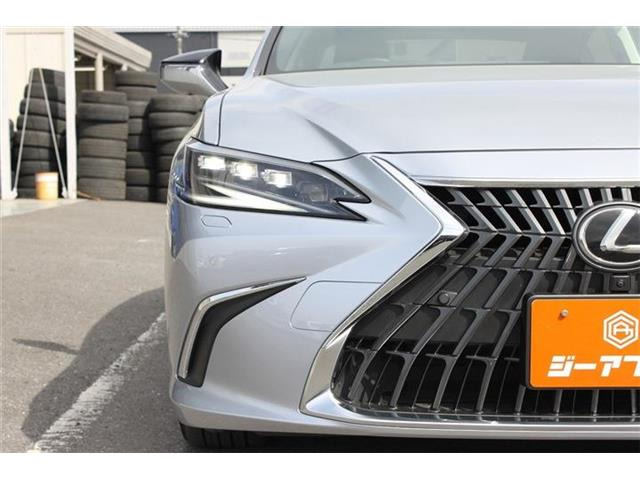 ���Ǝҗl�ւ̔̔��͂��f�肳���Ă��������܂��B �Ԍ������ԗ��̏ꍇ�́A�Ԍ����擾�������x�������z�ŕ\�����Ă���܂��B