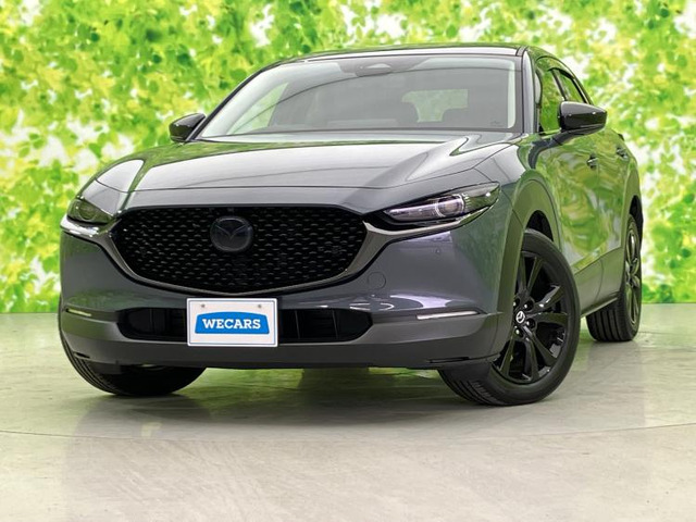 CX-301.8 XD レトロスポーツエディション